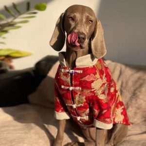 Ropa Festiva para Perros Grandes - Año Nuevo