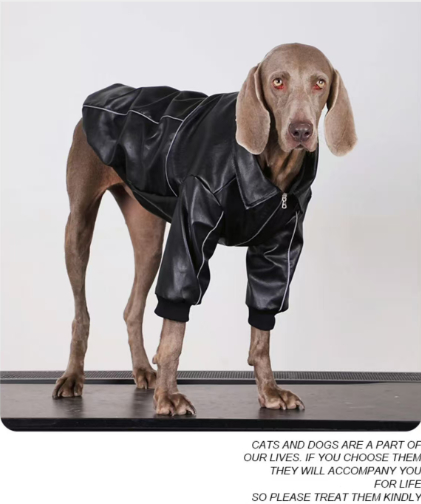 Cazadora Cuero Negra Perro Mediano Grande 🐾 - Imagen 4