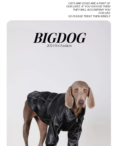 Cazadora Cuero Negra Perro Mediano Grande 🐾 - Imagen 6