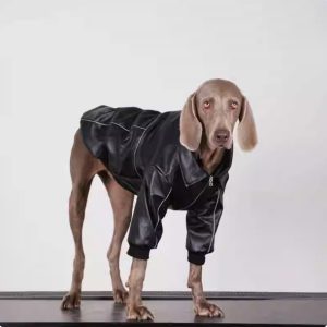 Cazadora Cuero Negra Perro Mediano Grande 🐾