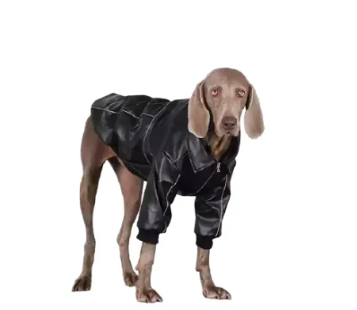 Cazadora Cuero Negra Perro Mediano Grande 🐾 - Imagen 5