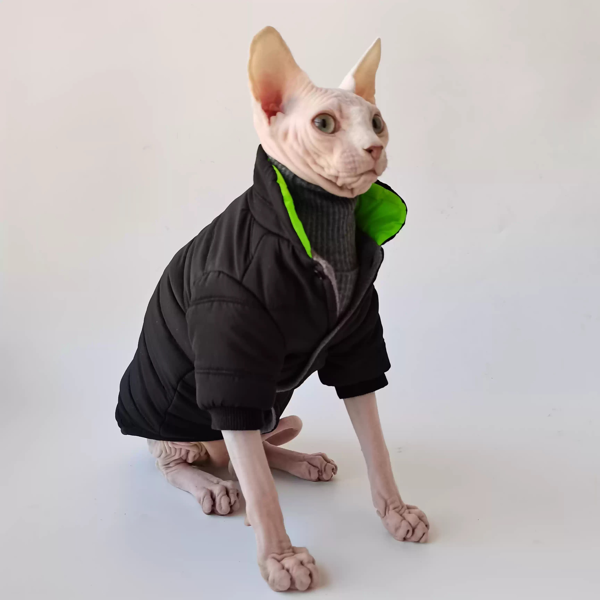 Abrigo Acolchado de Algodón para Mascotas 🐾 - Imagen 2