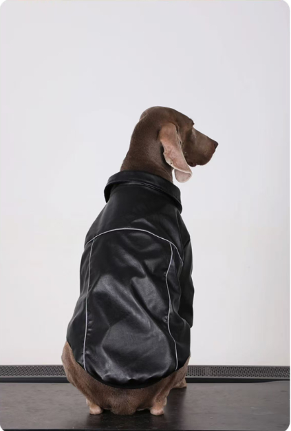 Cazadora Cuero Negra Perro Mediano Grande 🐾 - Imagen 3