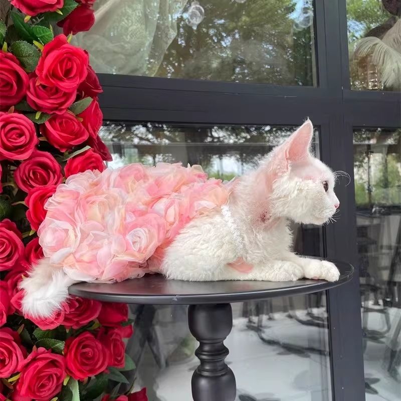 Vestido Princesa Rosa 3D Gatos sin Pelo Doble Capa - Imagen 2