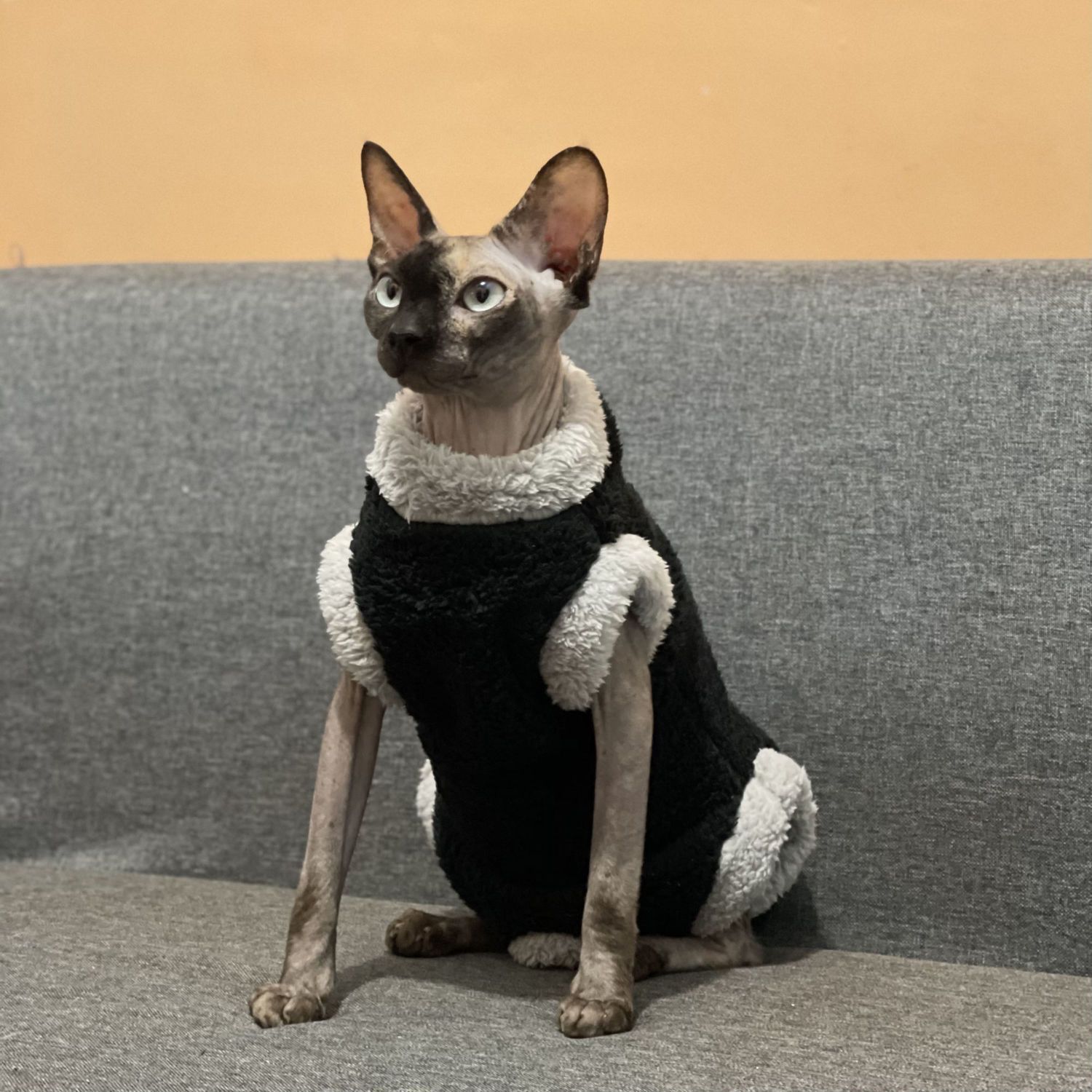 Abrigo Polar Térmico para Gatos sin Pelo - Invierno - Imagen 5