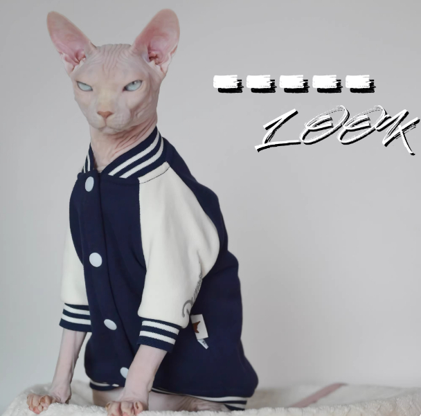 Camiseta Algodón Cálida para Gatos sin Pelo 🐱 - Imagen 2