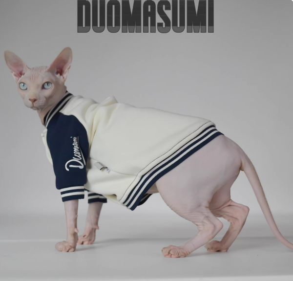 Camiseta Algodón Cálida para Gatos sin Pelo 🐱 - Imagen 5