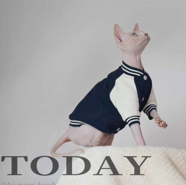 Camiseta Algodón Cálida para Gatos sin Pelo 🐱 - Imagen 4