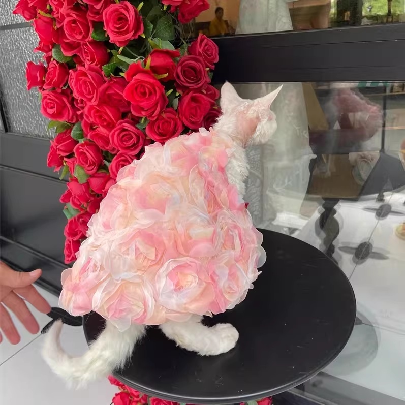 Vestido Princesa Rosa 3D Gatos sin Pelo Doble Capa - Imagen 3