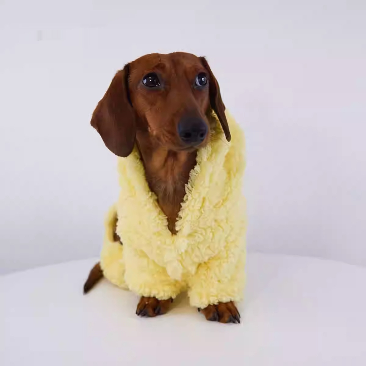 Abrigo Estrella con Forro Polar para Mascotas - Calidez - Imagen 5