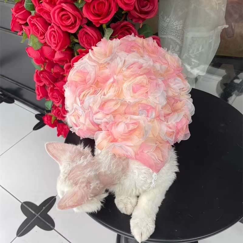 Vestido Princesa Rosa 3D Gatos sin Pelo Doble Capa - Imagen 5