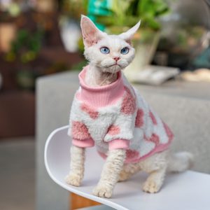 Ropa Térmica Gato Doble Capa Polar Cómoda