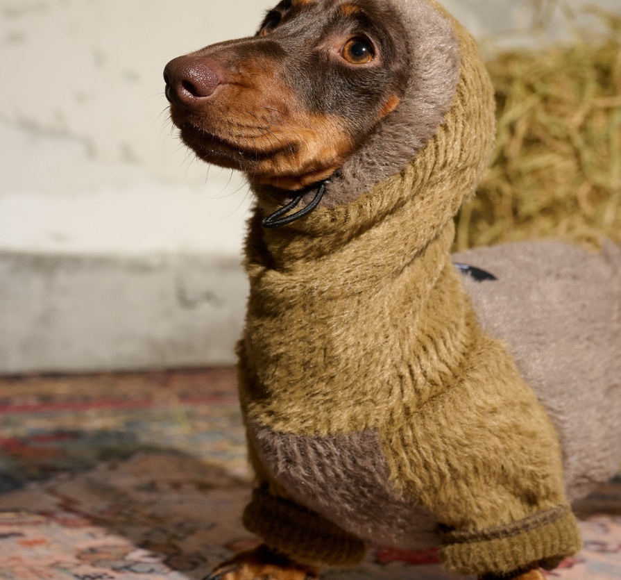 Jersey Retráctil Invierno para Mascotas - Calidez Suave - Imagen 3