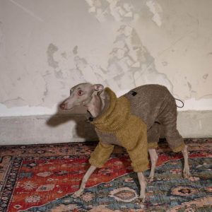 Jersey Retráctil Invierno para Mascotas - Calidez Suave