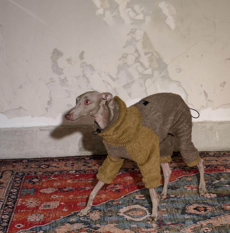 Jersey Retráctil Invierno para Mascotas - Calidez Suave