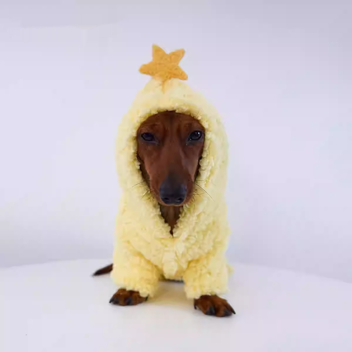 Abrigo Estrella con Forro Polar para Mascotas - Calidez