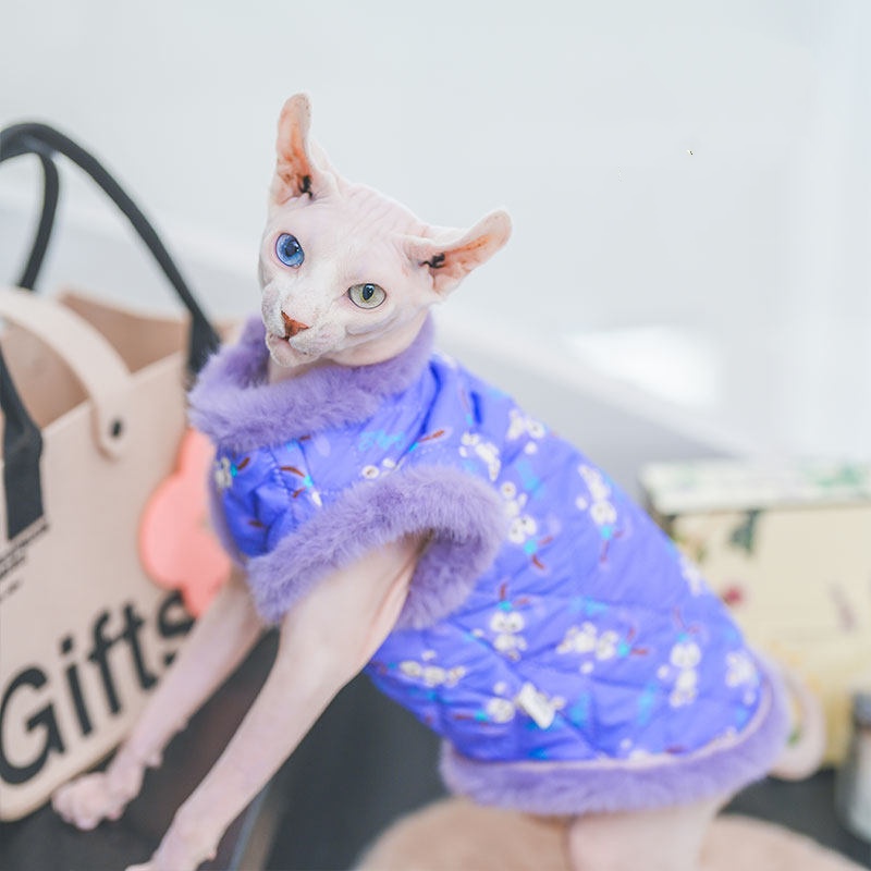 Chaleco Primavera Sin Pelaje para Gatos Sphinx y Devon Rex - Imagen 4