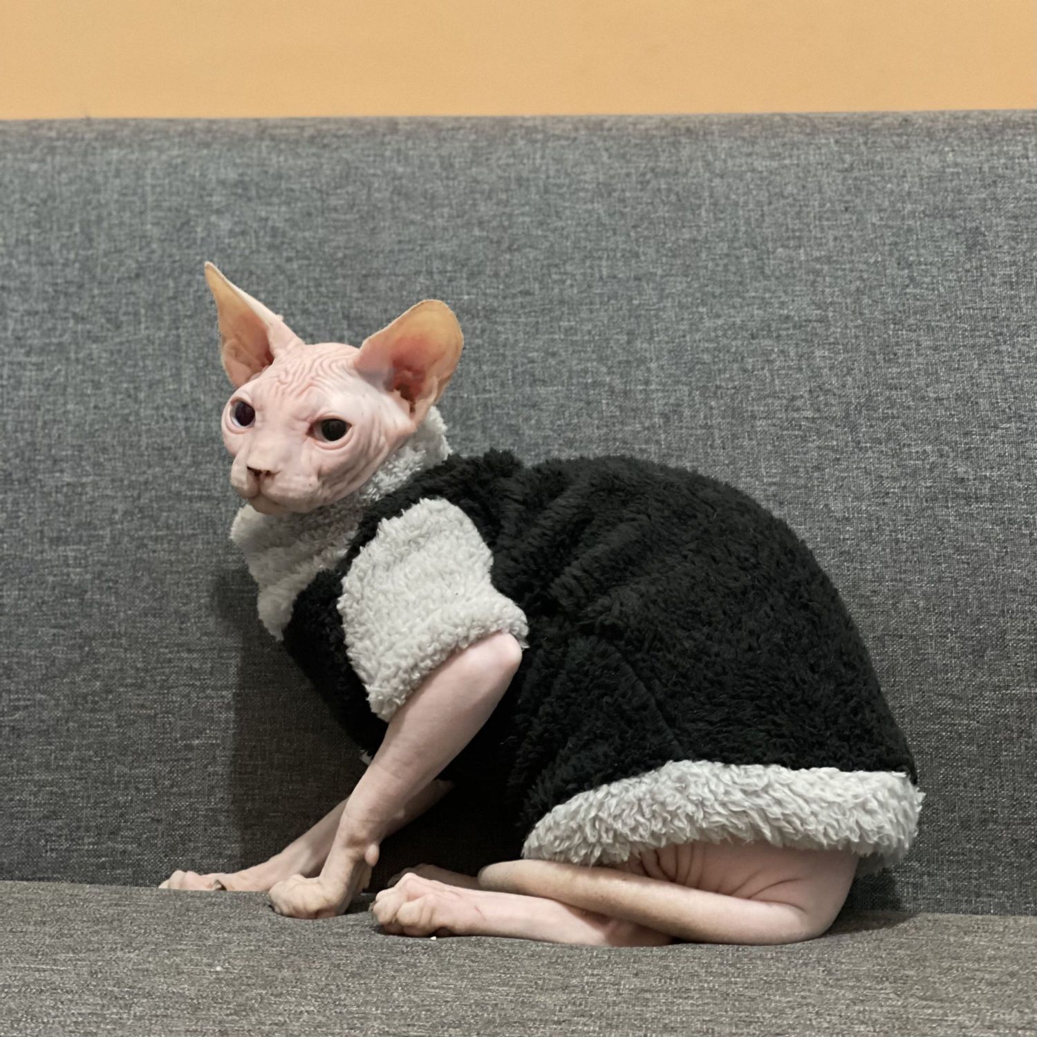 Abrigo Polar Térmico para Gatos sin Pelo - Invierno - Imagen 3