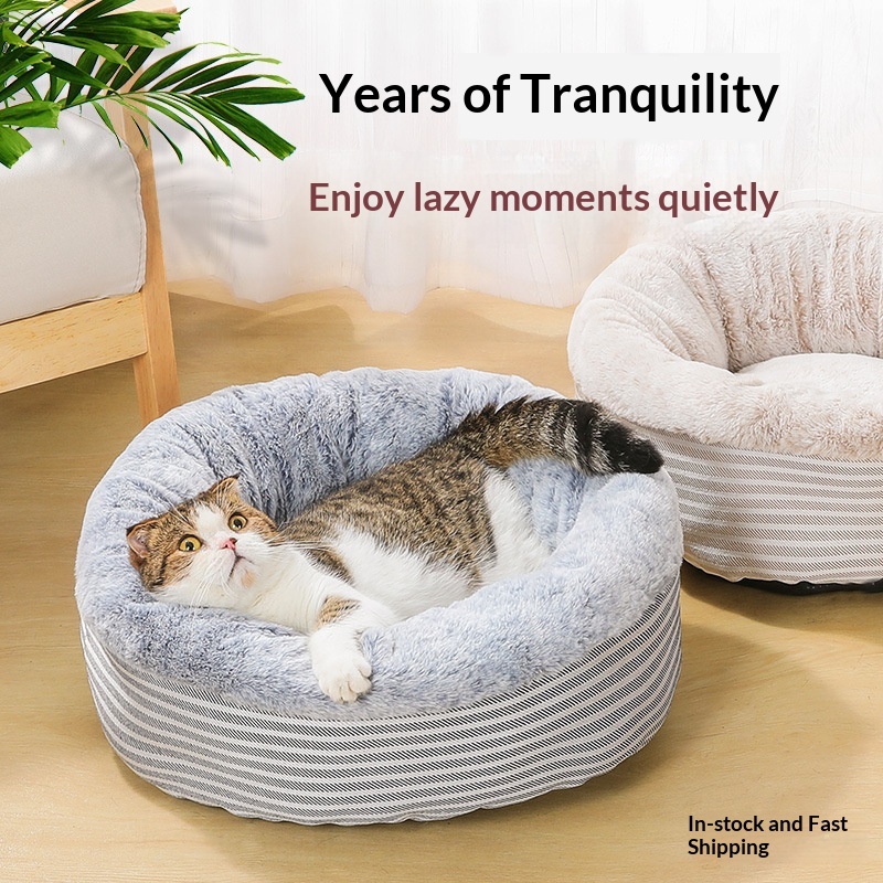 Casa Cama Gato Invierno Cerrada Descanso Profundo 🐾