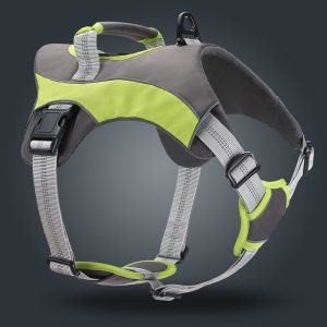 Arnés Pecho Transpirable Perros Grandes + Correa