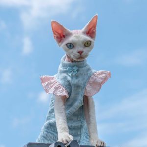 Camiseta Flutter para Gatos sin Pelo - Algodón Suave